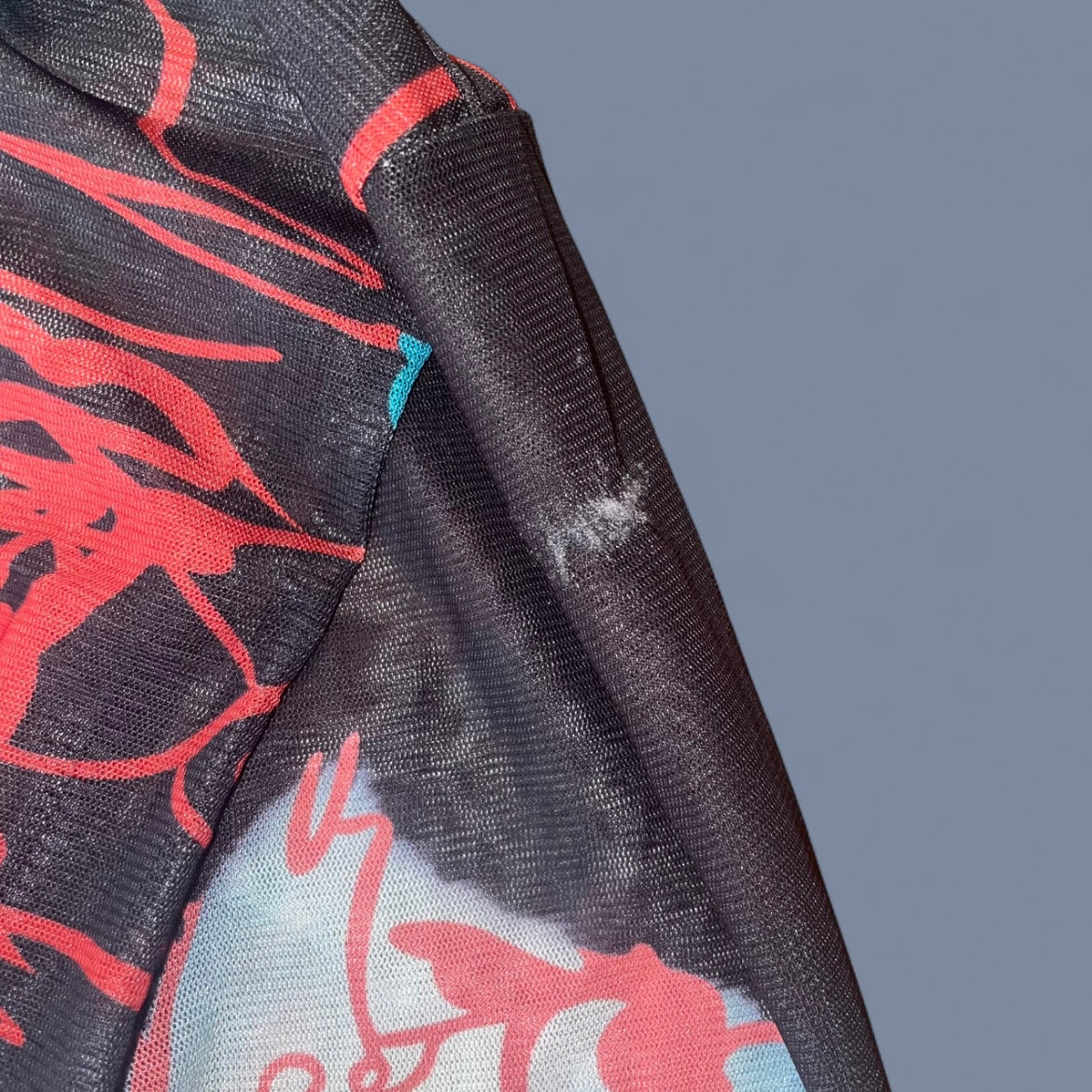 Graphic Mesh European-style Long Sleeve